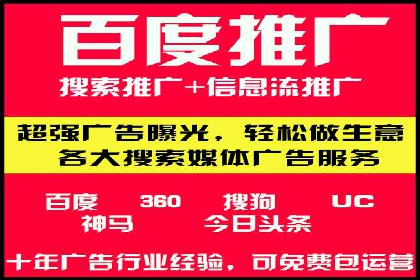 行业领先企业的SEM广告投放策略案例